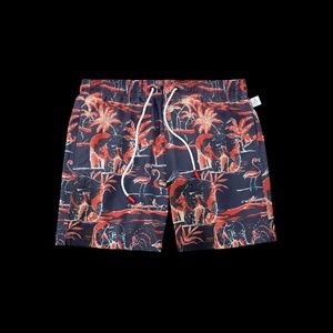 sunny by 98 coast av swimsuit for men